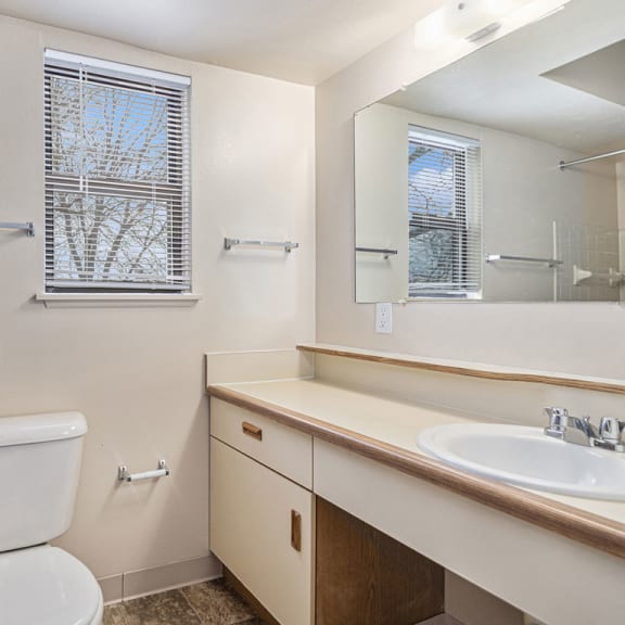 Thumbnail 10 of 12 a bathroom with a window and a sink and a mirror at Indian Lakes Apartments, Mishawaka, Indiana