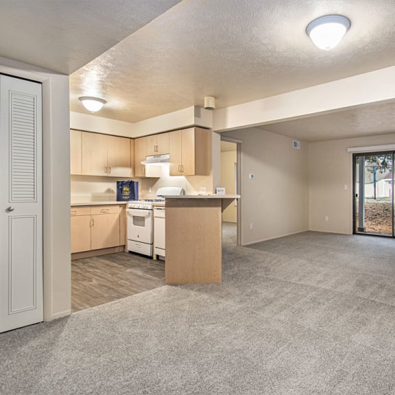 Thumbnail 3 of 6 living room and kitchen with a door to private patio at Indian Lakes Apartments, Indiana