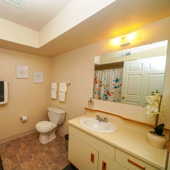 Thumbnail 7 of 10 primary bath with large vanity at Liberty Mills Apartments, Fort Wayne, 46804