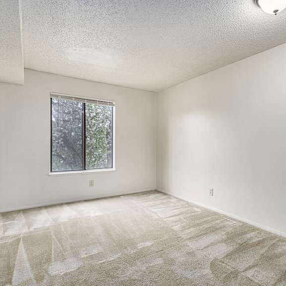 Thumbnail 7 of 8 A bedroom with a window and carpeted floor at Madeira Apartments, Michigan