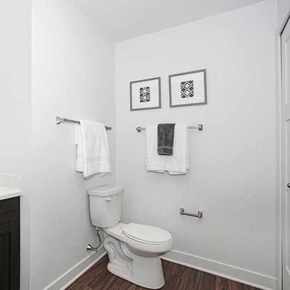 Thumbnail 7 of 11 a bathroom with a toilet and a sink and a mirror at Meadowbrooke Apartment Homes, Grand Rapids, Michigan