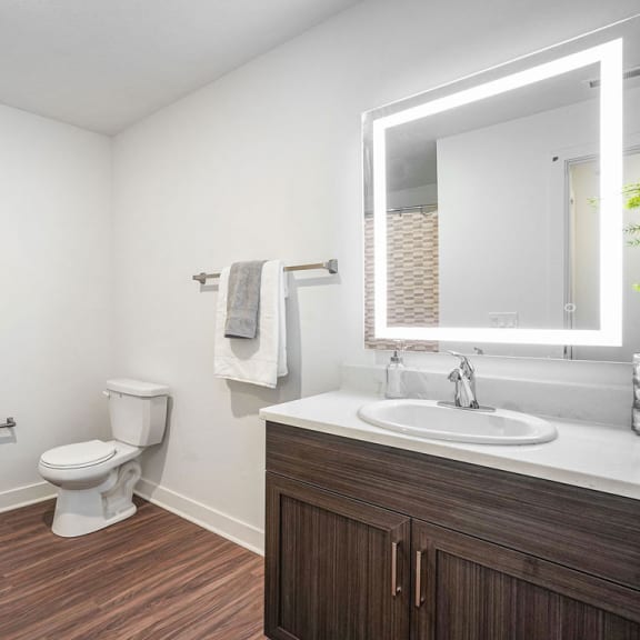 Thumbnail 9 of 12 a bathroom with a toilet and a sink and a mirror at Meadowbrooke Apartment Homes, Grand Rapids