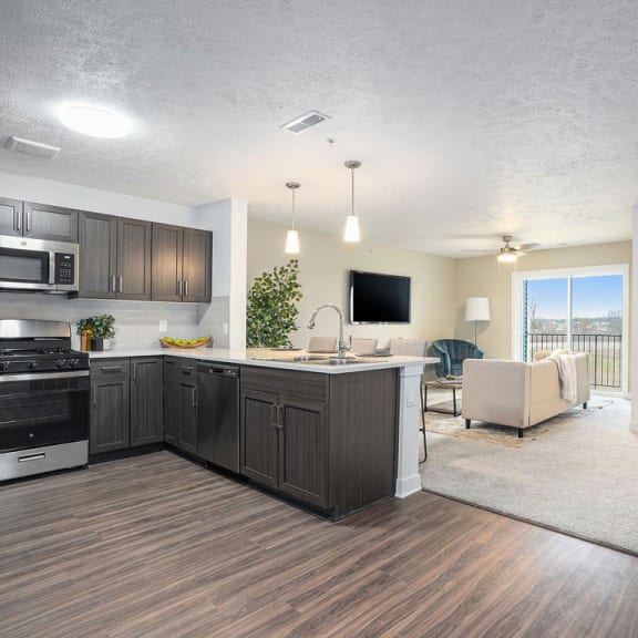 Thumbnail 3 of 12 a kitchen and living room with a view of a living room at Meadowbrooke Apartment Homes, Grand Rapids, MI