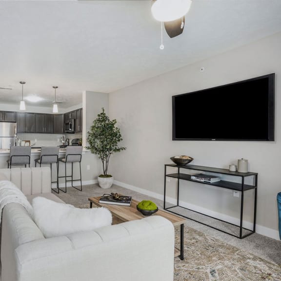 Thumbnail 6 of 12 a living room with a couch and a tv at Meadowbrooke Apartment Homes, Grand Rapids