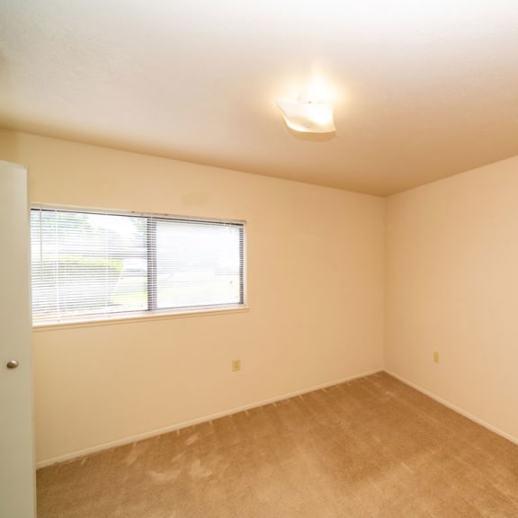 Thumbnail 13 of 14 an empty room with a window and carpet at North Pointe Apartments, Elkhart