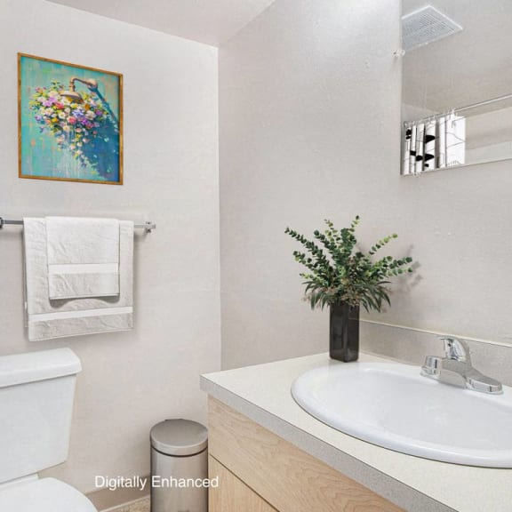 Thumbnail 11 of 12 a bathroom with a sink toilet and a mirror at Old Farm Apartments, Elkhart, 46517