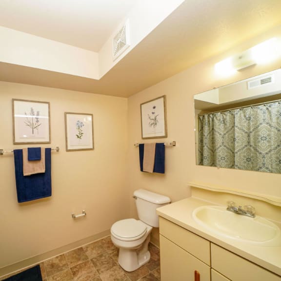 Thumbnail 5 of 7 a bathroom with a sink toilet and a shower at Orchard Lakes Apartments, Ohio