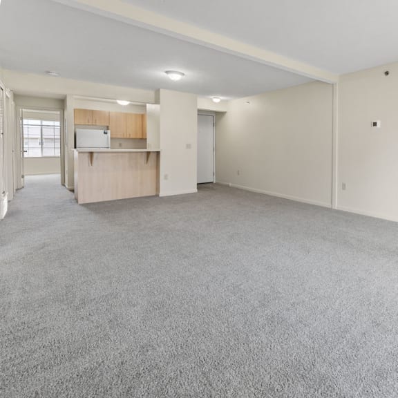 Thumbnail 6 of 18 spacious living room with plush carpeting at Hunters Pond Apartment Homes, Champaign, IL, 61820