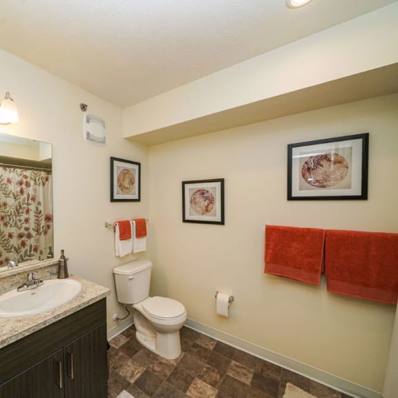 Thumbnail 7 of 8 1B-Bath2plan at The Reserve at Destination Pointe, Grimes, IA, 50111