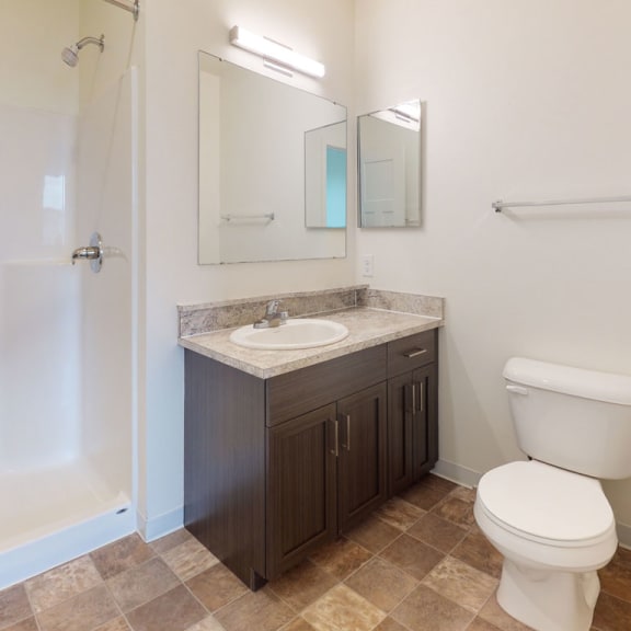 Thumbnail 10 of 10 a bathroom with a sink toilet and a shower at The Reserve at Destination Pointe, Grimes, IA