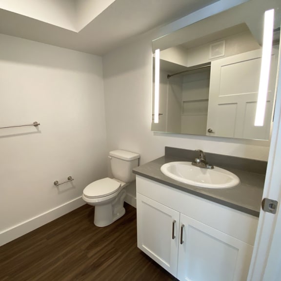 Thumbnail 9 of 14 A bathroom with hard surface flooring at Green Ridge Apartments, Grand Rapids, 49544