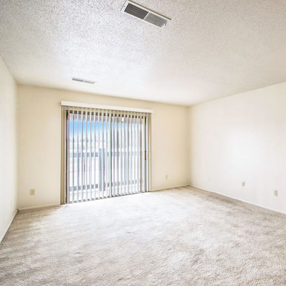 Thumbnail 4 of 13 spacious living room at Seville Apartments, Michigan, 49009