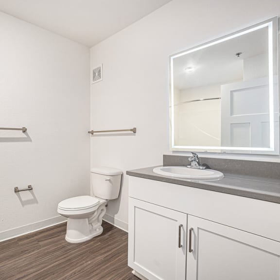 Thumbnail 10 of 14 a bathroom with hard-surface flooring and a lighted mirror  at Signature Pointe Apartment Homes, Athens, AL, 35611