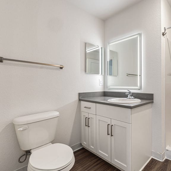 Thumbnail 22 of 22 a 2nd bathroom with a walk in shower  at Signature Pointe Apartment Homes, Athens