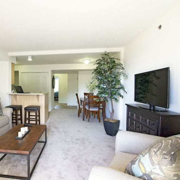 Thumbnail 4 of 10 1B-LR2plan at Stoney Pointe Apartment Homes, Wichita, 67226