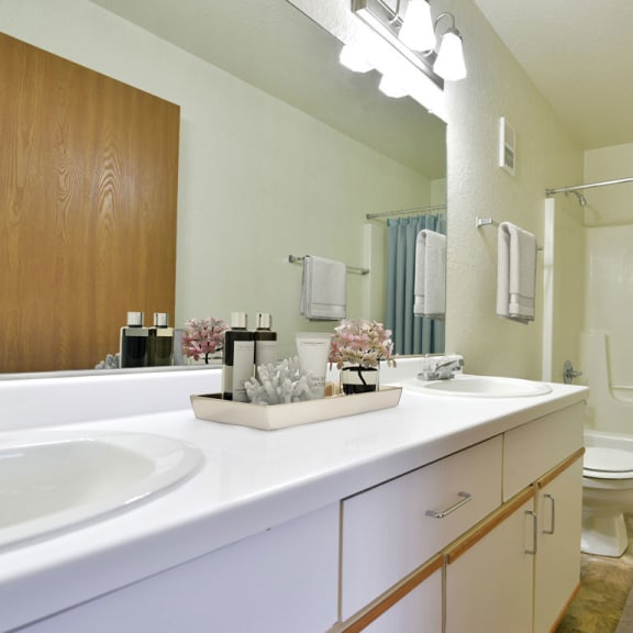 Thumbnail 9 of 10 2BB-Bath1plan at Tanglewood Apartments, Oak Creek