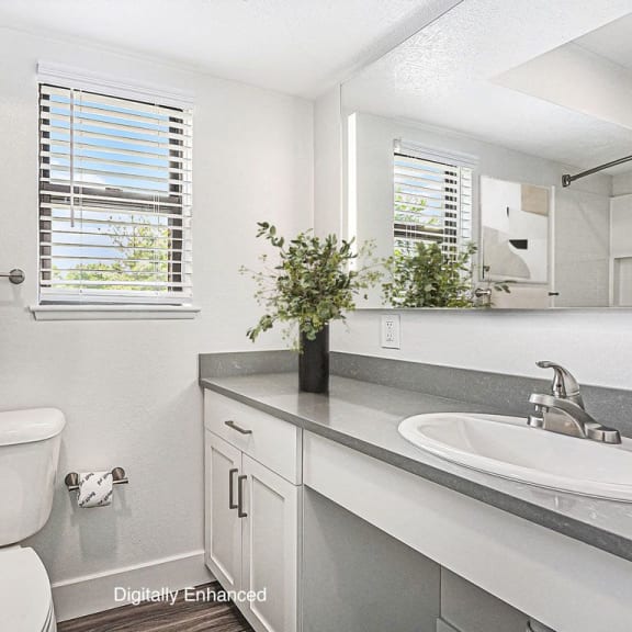 Thumbnail 10 of 13 a bathroom with a window at The Crossings Apartments, Michigan, 49508