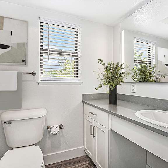 Thumbnail 7 of 9 a bathroom with a window at The Crossings Apartments, Michigan, 49508