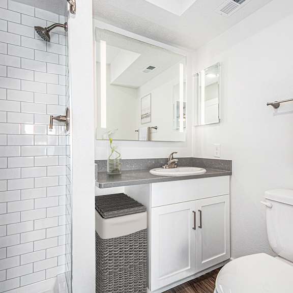 Thumbnail 12 of 12 Second bathroom with a walk in shower at The Crossings Apartments, Michigan, 49508