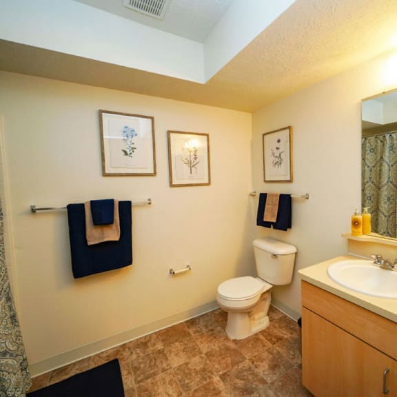 Thumbnail 5 of 6 a bathroom with a sink toilet and a mirror at Trillium Pointe Apartment Homes, Jackson, MI