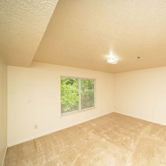 Thumbnail 10 of 12 an empty living room with a window and a carpeted floorat Trillium Pointe Apartment Homes, Jackson