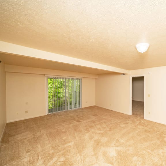 Thumbnail 5 of 12 an empty living room with a window and a door at Trillium Pointe Apartment Homes, Jackson