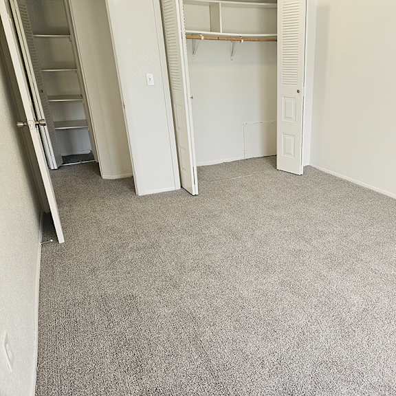 Thumbnail 16 of 16 A bedroom with a carpeted floor and a closet at Waverly Park Apartments, Lansing
