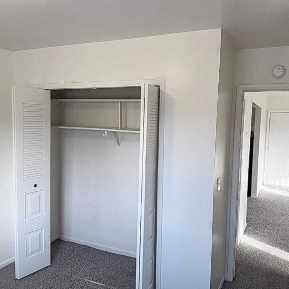 Thumbnail 12 of 12 A bedroom with a closet with a door to a hallway at Waverly Park Apartments, Lansing