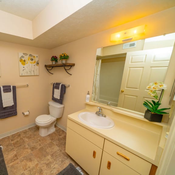 Thumbnail 11 of 14 A bathroom with a sink, mirror and toilet at West Hampton Park Apartment Homes, Nebraska