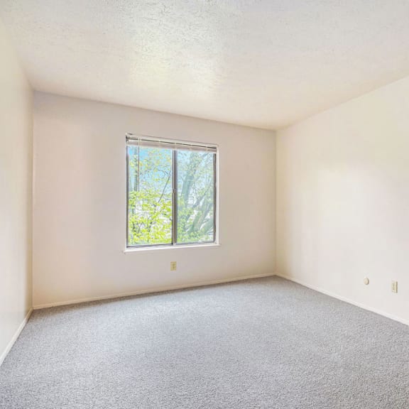 Thumbnail 11 of 12 A large bedroom with a window at Wingate Apartments, Kentwood, 49512