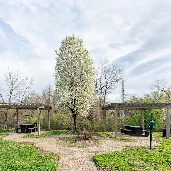 a park with a bench and a tree in the middle.