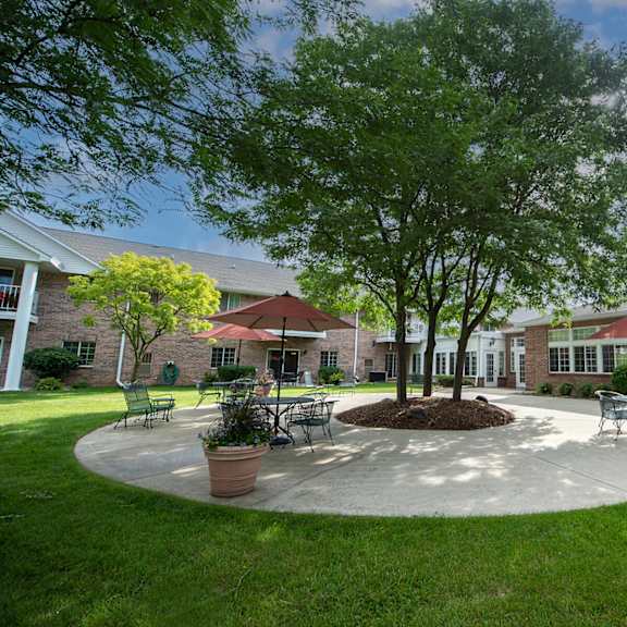 a large tree in a courtyard surrounded by buildings.