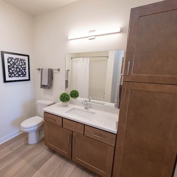 a bathroom with a sink and a toilet and a mirror