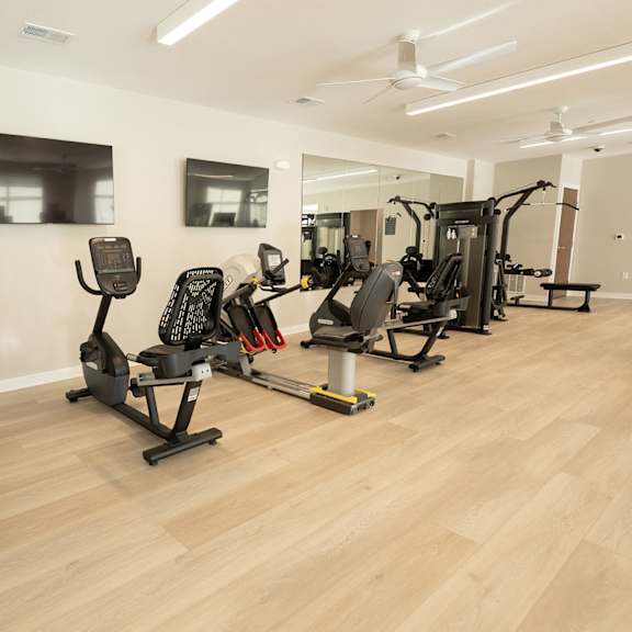 a row of exercise bikes in a gym
