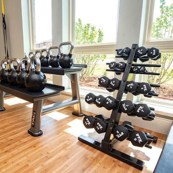 the home gym has plenty of weights and dumbbells