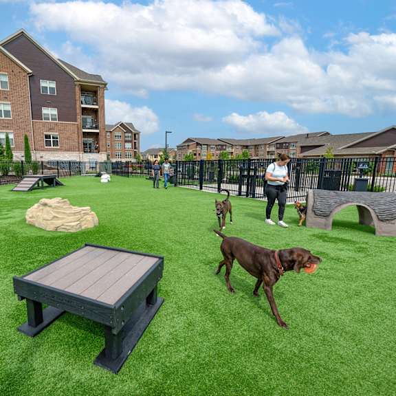 a man and two dogs in a yard with a picnic table