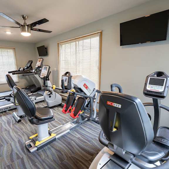 a home gym with a variety of equipment including treadmills, stationary bikes, and weight machines.