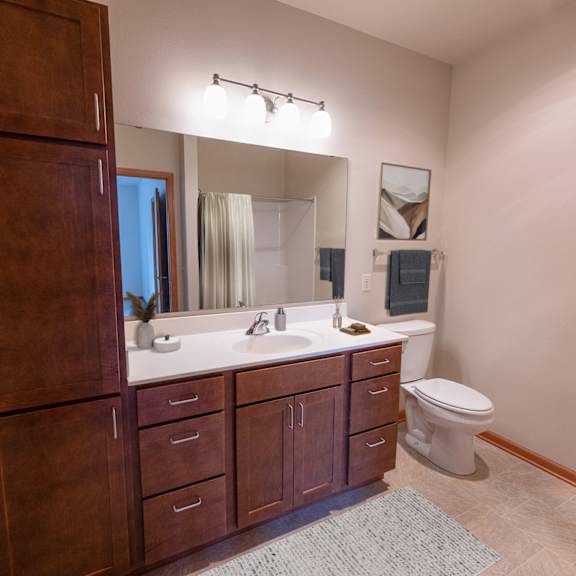 a bathroom with a sink and a toilet and a mirror