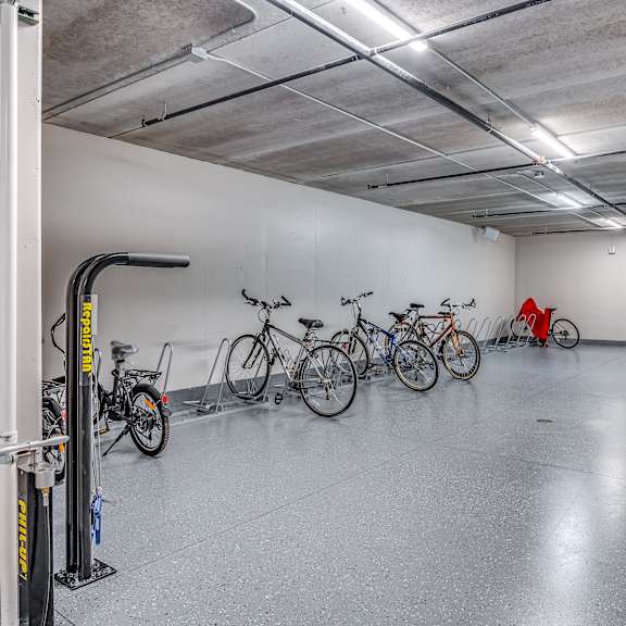 bikes parked in it