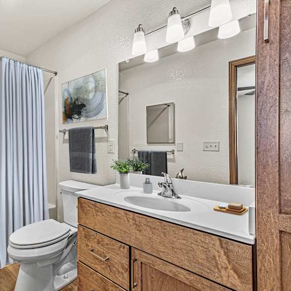 a bathroom with a white toilet, a sink, and a shower.