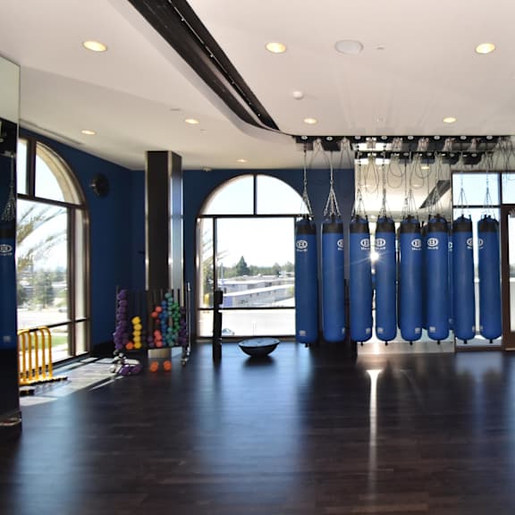 gym with punching bags at casa mira view apartments, california, 92126