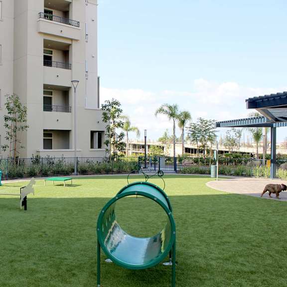 dog run area at casa mira view apartments, san diego