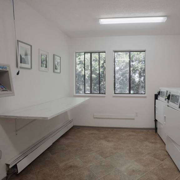 a medical room with a bed, a window, and a wall of paperwork.