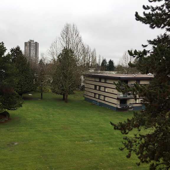 a large grassy area with trees and a building in the background.
