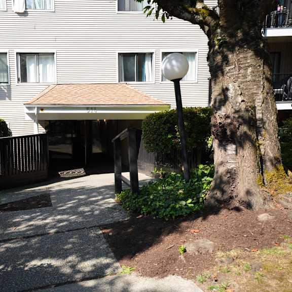 a tree is in front of a building.