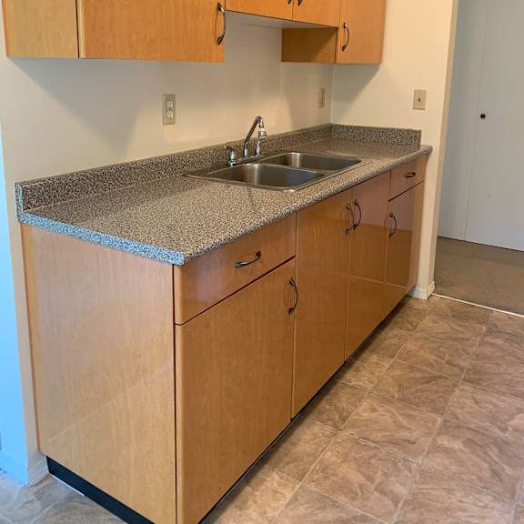 a kitchen with wooden cabinets and a countertop.