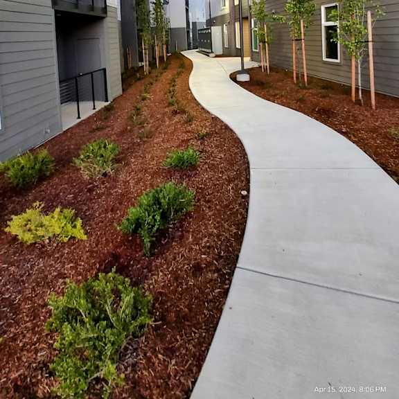 cedar commons