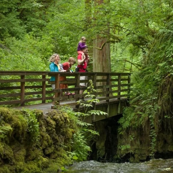 a group of people standing on a bridge over a river