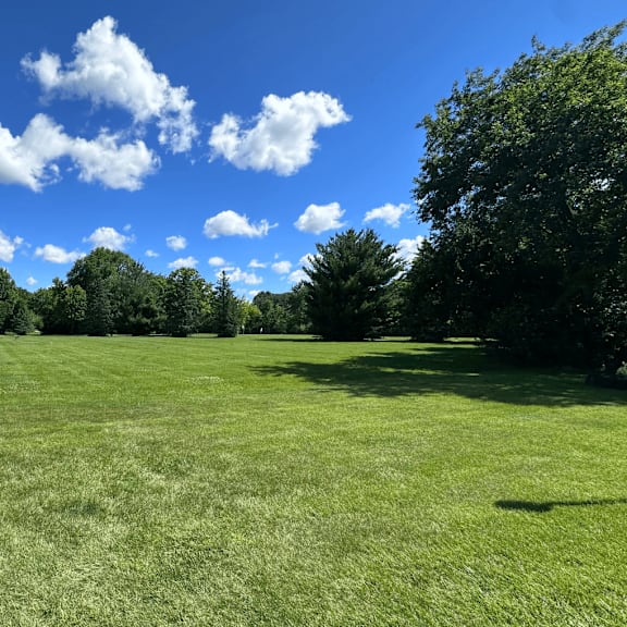 a large, open grassy field with trees in the distance and a blue sky above.