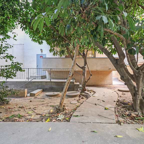 a tree in front of a building with a white door.